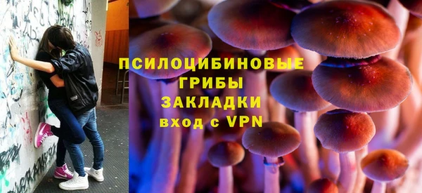 прущие крисы Аркадак