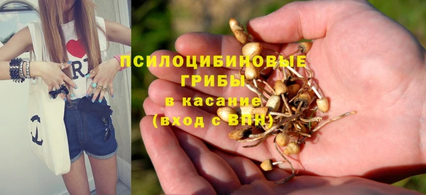 mix Арсеньев